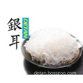 White fungus mushroom/Fresh Tremella Mushrooms